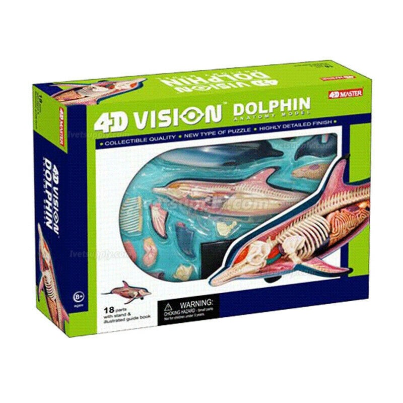 Dolphin Anatomy Modell Teaching Model Assembled Toy